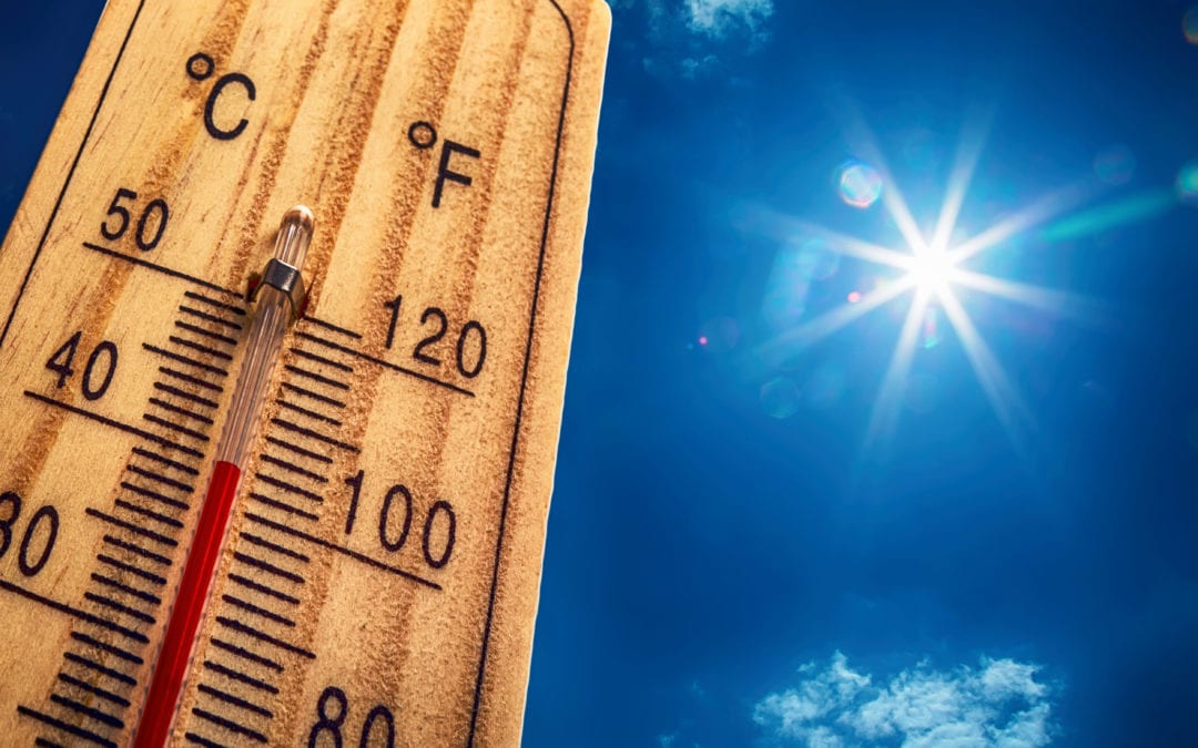 What You Need To Know About Heat Stress